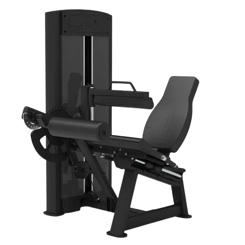 Seated Leg Extension & Curl Gym Machine